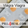 Viagra Sex 24